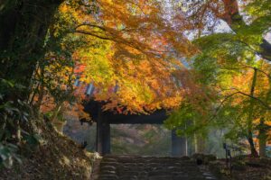 秋月城跡