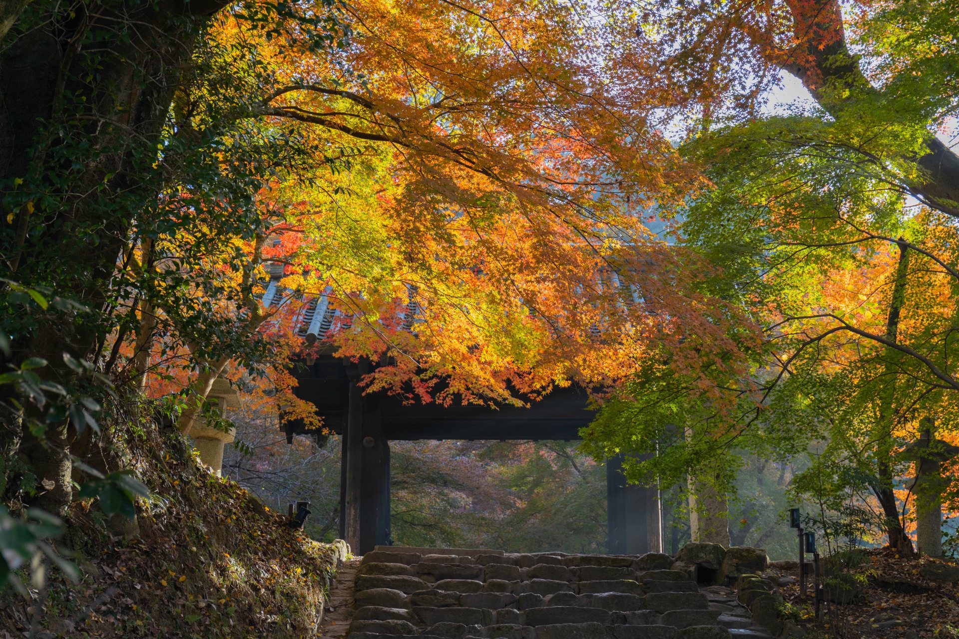 秋月城跡