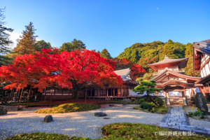雷山千如寺大悲王院