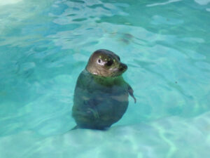 小樽水族館
